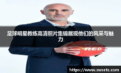 智博19