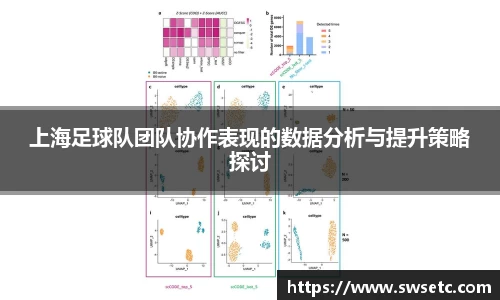 上海足球队团队协作表现的数据分析与提升策略探讨